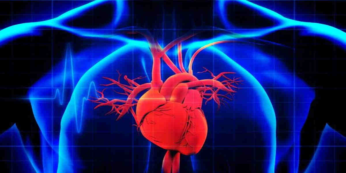 Hipertansiyon ve Kalp Yetmezliği